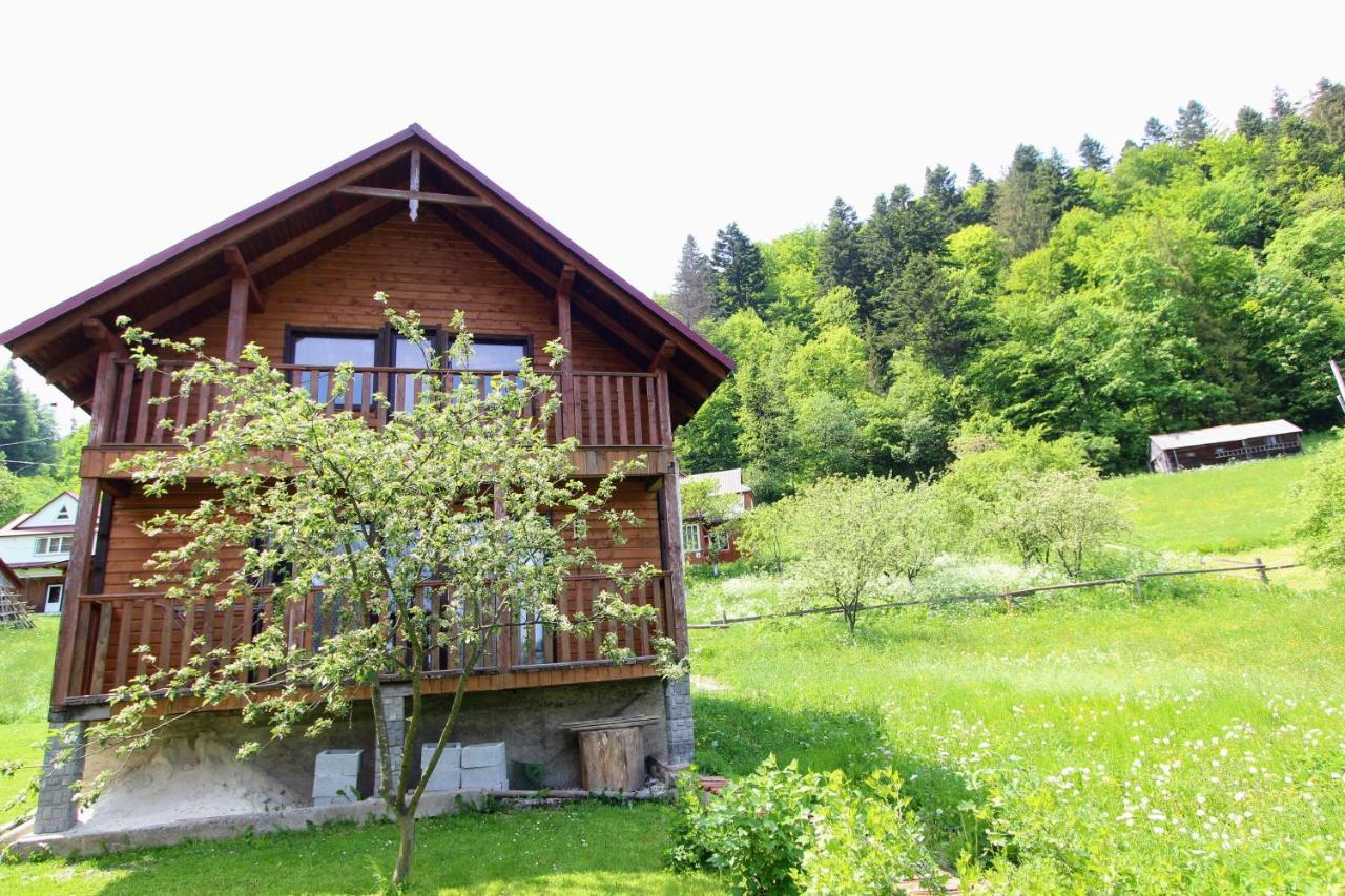 Котедж "Карпатський Краєвид" Yaremche Exterior photo